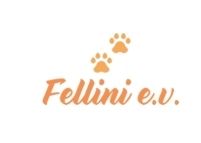 Tierschutzverein Fellini e.V.